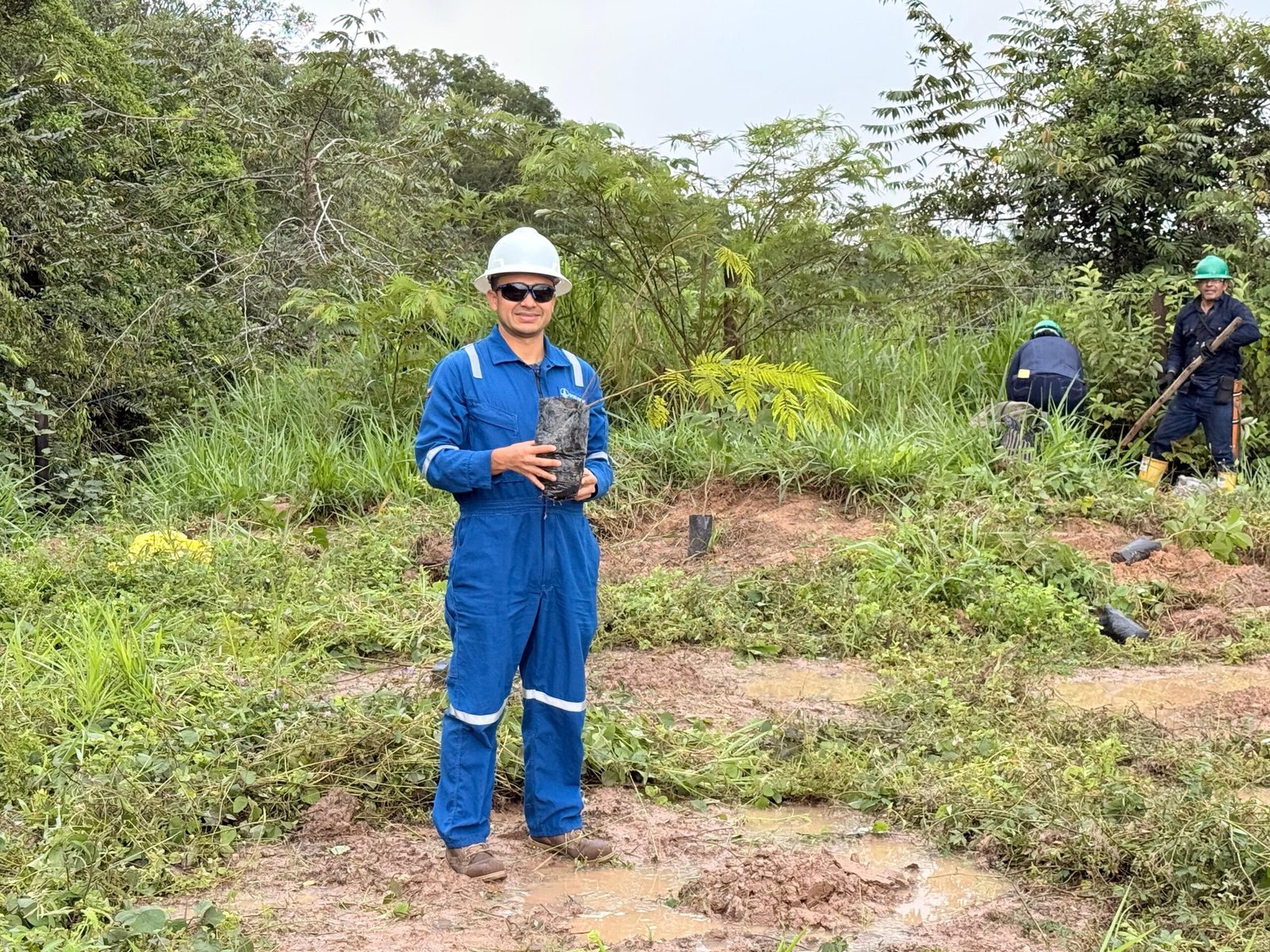 Sustainability 3 Scaled